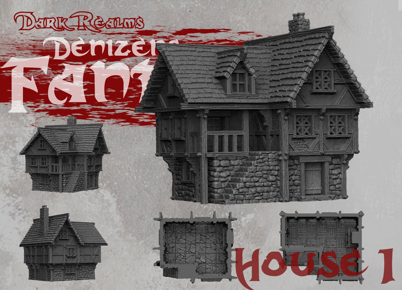 House 1 - DND - Dungeons & Dragons - RPG - Pathfinder - Tabletop - TTRPG - Demizens of Fantasy - Dark Realms - 32 mm