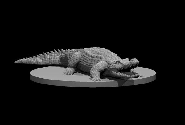 Crocodile Mini - DND - Pathfinder - Dungeons & Dragons - RPG - Tabletop - mz4250- Miniature - 28 mm - 1" Scale