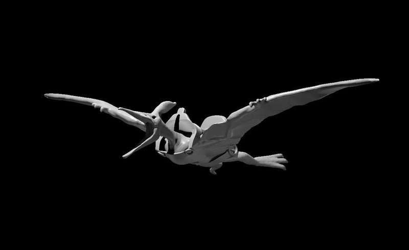 Pteranodon Mini - DND - Pathfinder - Dungeons & Dragons - RPG - Tabletop - mz4250- Miniature-28mm-1"Scale