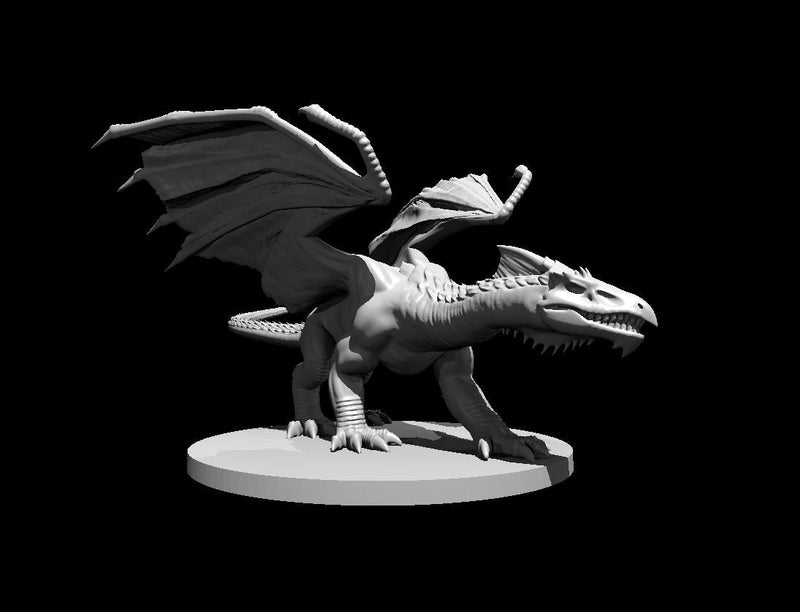 White Dragon Young Chromatic Mini - DND - Pathfinder - Dungeons & Dragons - RPG - Tabletop - mz4250- Miniature-28mm-1"Scale