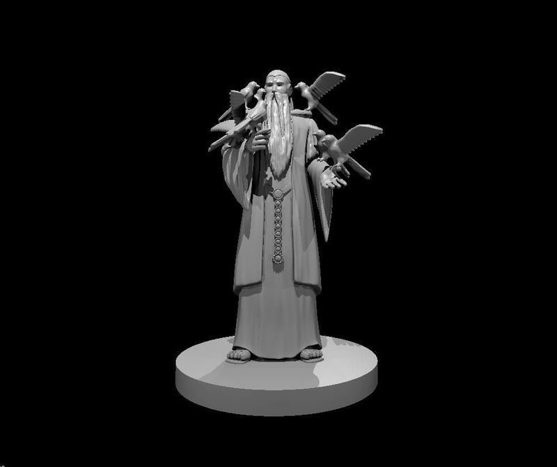 Old Man with the Canaries Mini - DND - Pathfinder - Dungeons & Dragons - RPG - Tabletop - mz4250- Miniature-28mm-1"Scale