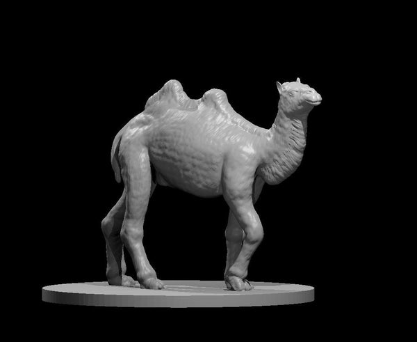 Camel Mini - DND - Pathfinder - Dungeons & Dragons - RPG - Tabletop - mz4250- Miniature - 28 mm - 1" Scale