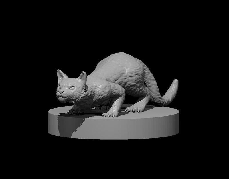 Cat Mini - set of 2 - DND - Pathfinder - Dungeons & Dragons - RPG - Tabletop - mz4250- Miniature - 28 mm - 1" Scale