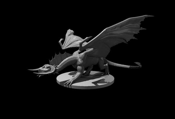 Black Dragon Young Terrestrial Chromatic Mini - DND - Pathfinder - Dungeons & Dragons - RPG - Tabletop - mz4250- Miniature-28mm-1"Scale