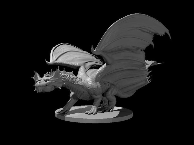 Young Brass Dragon Metallic Mini - DND - Pathfinder - Dungeons & Dragons - RPG - Tabletop - mz4250- Miniature-28mm-1"Scale