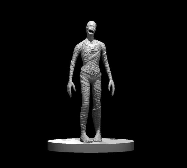Mummy Mini - DND - Pathfinder - Dungeons & Dragons - RPG - Tabletop - mz4250- Miniature-28mm-1"Scale
