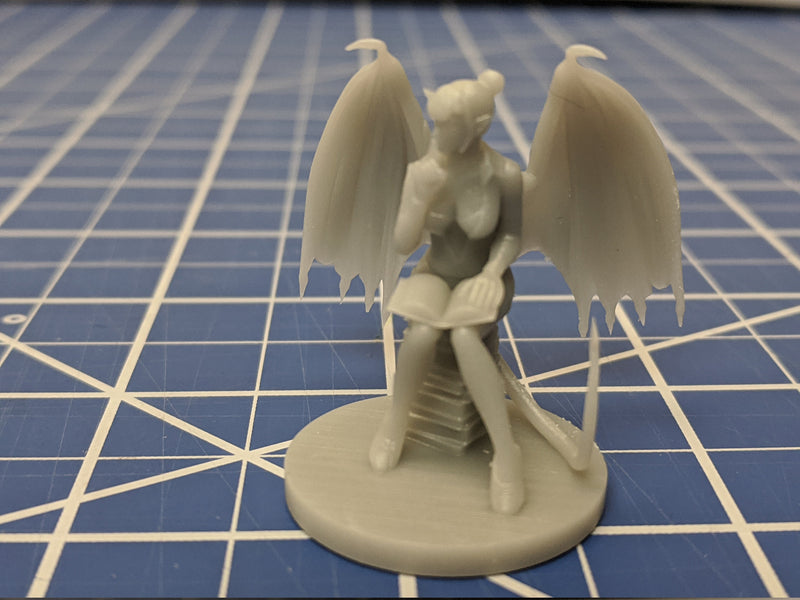 Succubus Mini - DND - Pathfinder - Dungeons & Dragons - RPG - Tabletop - mz4250- Miniature-28mm-1"Scale