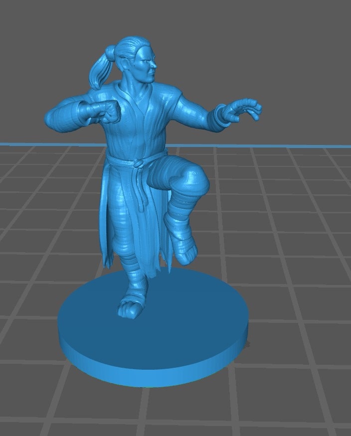 Human Monk Mini - DND - Pathfinder - Dungeons & Dragons - RPG - Tabletop - mz4250- Miniature-28mm-1"Scale