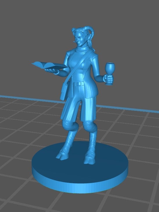 Other Races Wizard Mini - DND - Pathfinder - Dungeons & Dragons - RPG - Tabletop - mz4250- Miniature - 28 mm - 1" Scale