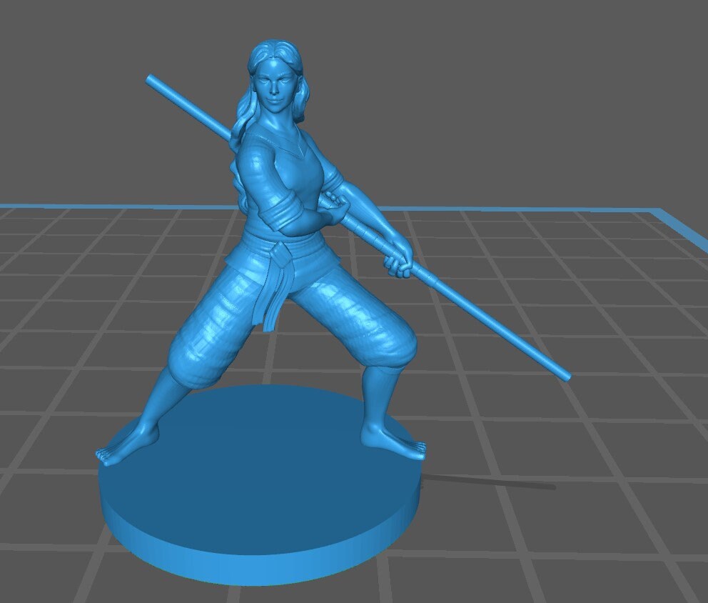 Human Monk Mini - DND - Pathfinder - Dungeons & Dragons - RPG - Tabletop - mz4250- Miniature-28mm-1"Scale