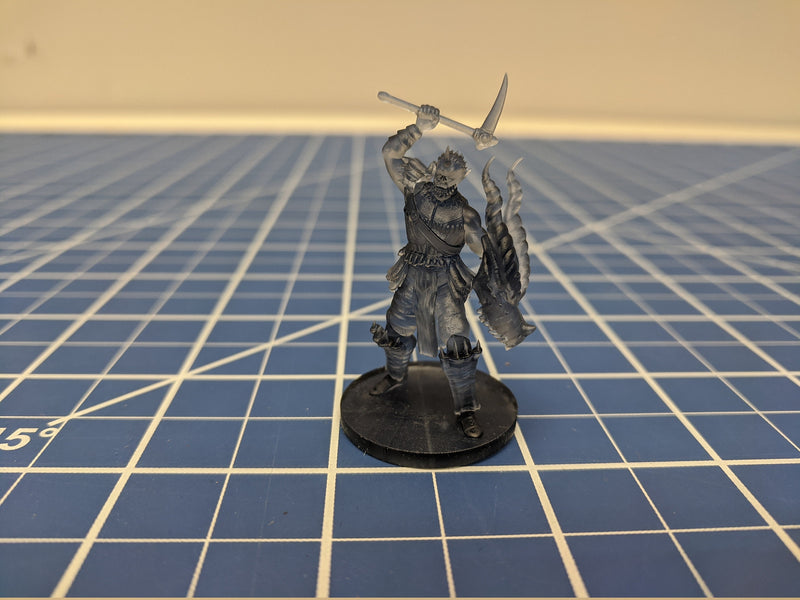 Other Races Cleric Mini - DND - Pathfinder - Dungeons & Dragons - RPG - Tabletop - mz4250- Miniature - 28 mm - 1" Scale