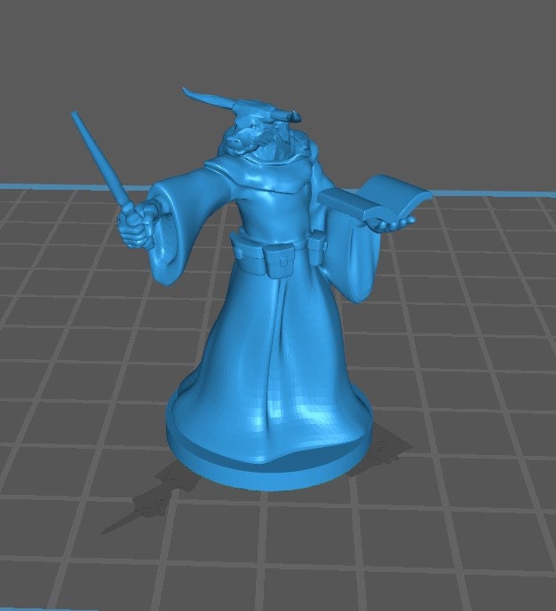 Other Races Wizard Mini - DND - Pathfinder - Dungeons & Dragons - RPG - Tabletop - mz4250- Miniature - 28 mm - 1" Scale