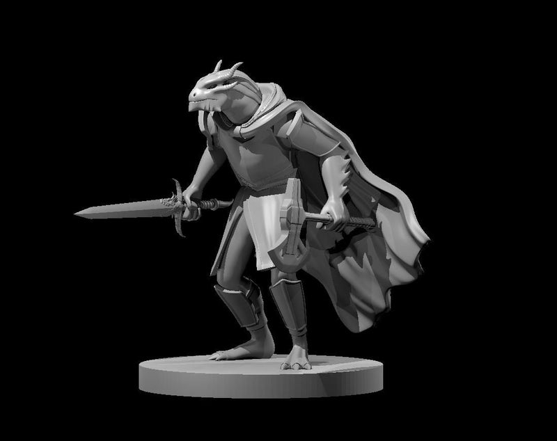 Dragonborn Fighter Minis - DND - Pathfinder - Dungeons & Dragons - RPG - Tabletop - mz4250- Miniature-28mm-1"Scale